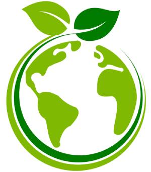 Why Are Eco-Friendly Cleaning Services Becoming So Popular?